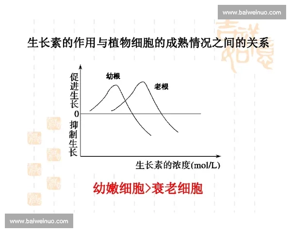 发挥失常的原因与对策分析：探讨心理、生理与环境因素的综合影响